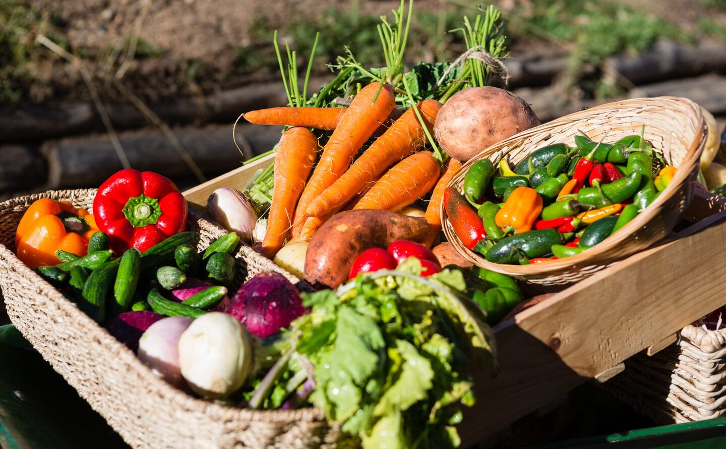 Legume de plantat în aprilie. Ghid util pentru grădinari