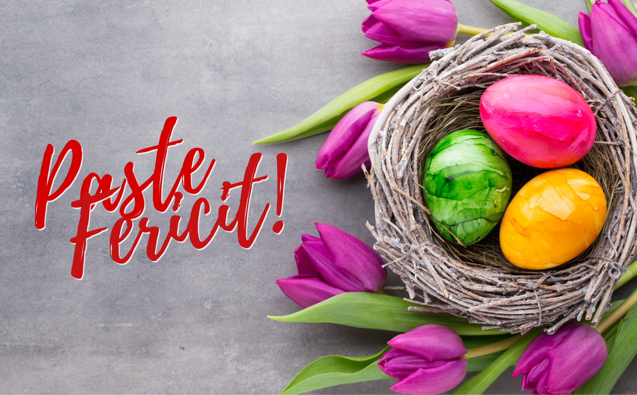Explorist vă urează Paște Fericit!
