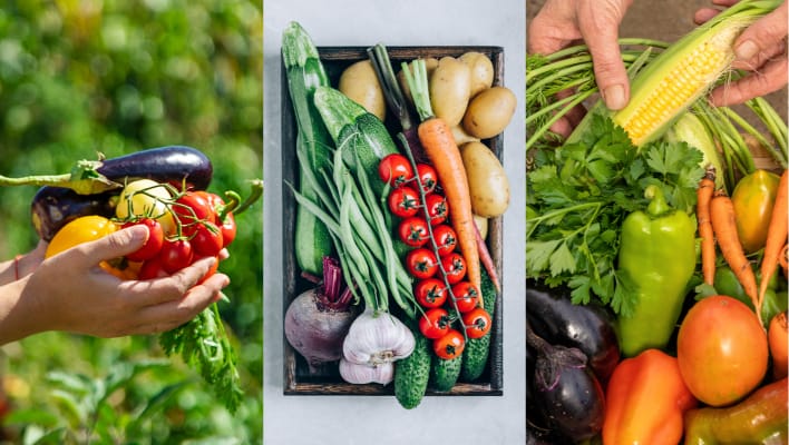 Legume de plantat în mai. Ghid complet pentru grădinarii care doresc o recoltă abundentă