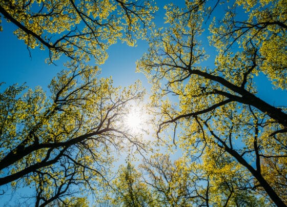 Vremea în aprilie 2025, România. Prognoza meteo pentru întreaga lună, ce ne așteaptă de Florii și Paște